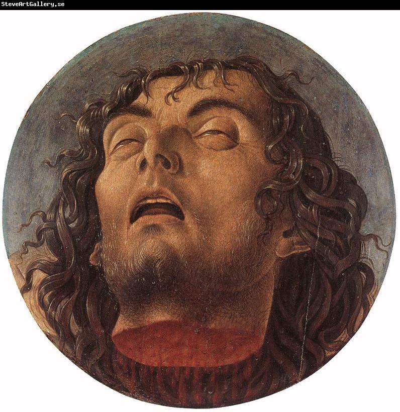 BELLINI, Giovanni Head of the Baptist 223